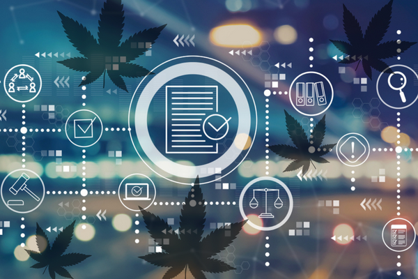 Cannabis analytics